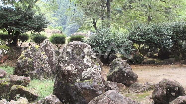 福井県-一乗谷朝倉氏庭園-湯殿跡庭園 一乗谷,朝倉氏庭園,湯殿跡庭園の写真素材