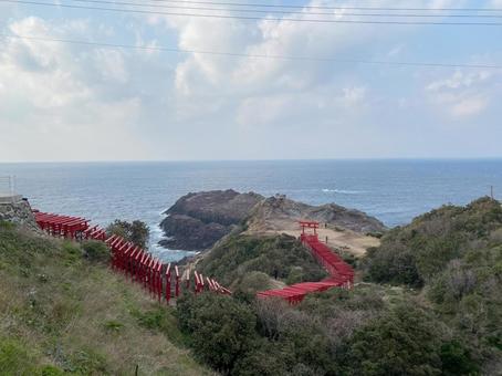 海へ続く赤い鳥居 海へ続く赤い鳥居 山口,元乃隅神社,鳥居の写真素材