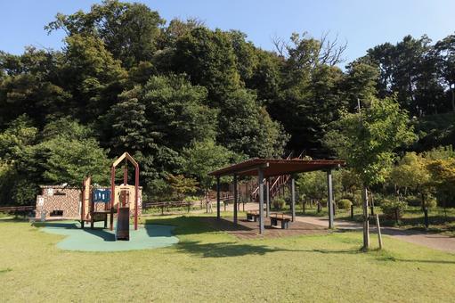 大田区 佐伯山緑地 大田区 佐伯山緑地 大田区,佐伯山緑地,東京都の写真素材