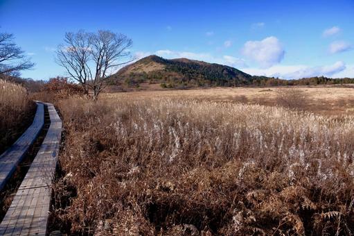 秋の八島湿原の写真