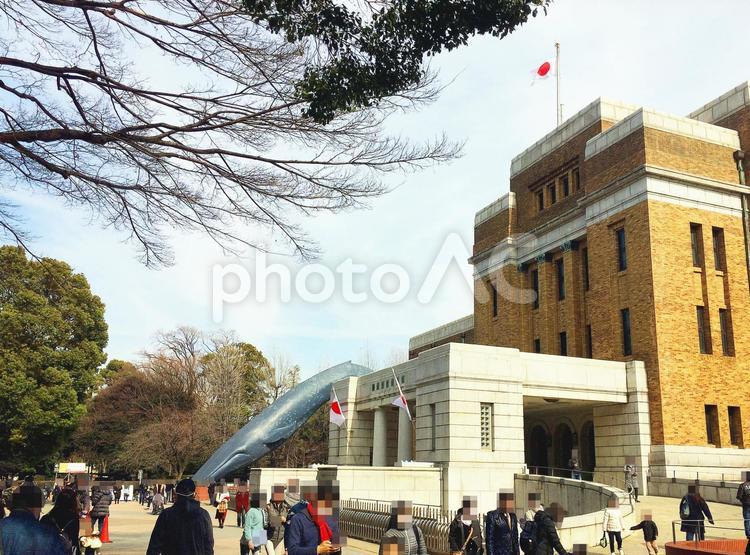 東京風景・上野公園 上野公園,上野恩賜公園,国立科学博物館の写真素材