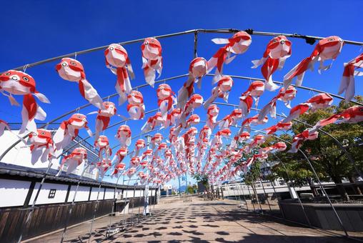 金魚ちょうちん祭り 金魚ちょうちん祭り 金魚ちょうちん祭り,柳井金魚ちょうちん祭り,金魚ちょうちんの写真素材