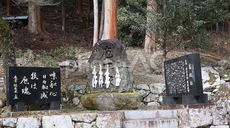 パワースポット　日吉大社　龍殿社石碑 滋賀県,大津市,日吉大社の写真素材