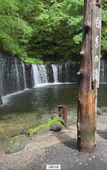 白糸の滝 白糸の滝の写真