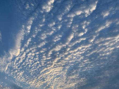 うろこ雲 うろこ雲の写真