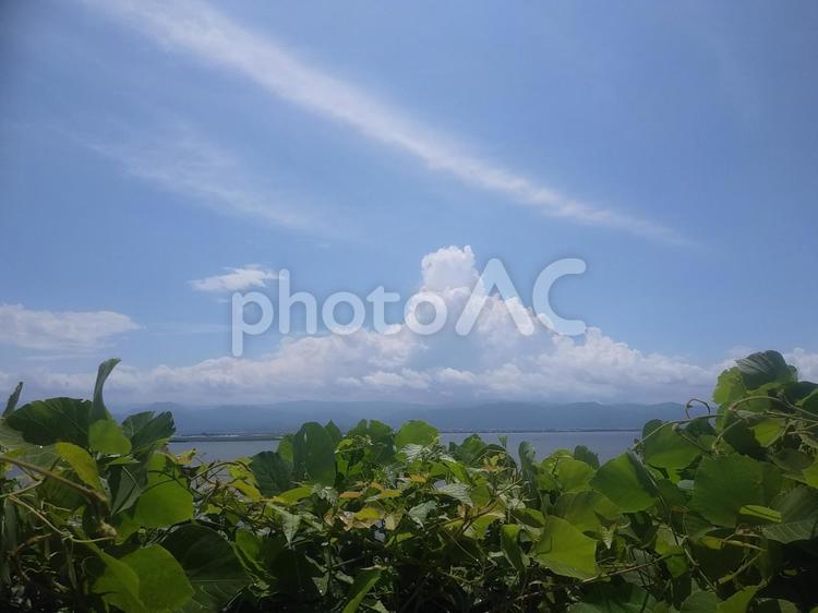 空と海と緑と 青空,空,入道雲の写真素材