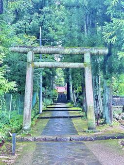 参道 参道の写真