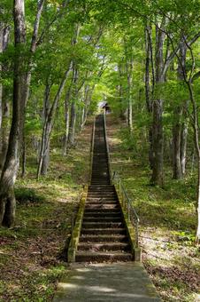 長老神社⑷ 長老神社⑷ 神社,長老神社,神社仏閣の写真素材