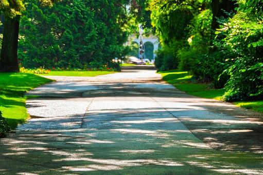 日陰と日向が交互に続く美しい公園の道 公園,道,木漏れ日の写真素材