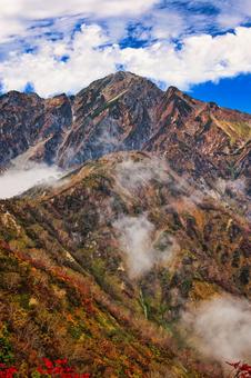 紅葉の北アルプスの五竜岳 紅葉の北アルプスの五竜岳 紅葉,秋,北アルプスの写真素材