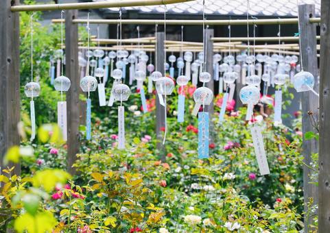 奈良 おふさ観音 奈良 おふさ観音 奈良,おふさ観音,風鈴寺の写真素材