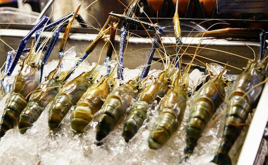 エビ５ エビ,バーベキュー,美味しいの写真素材