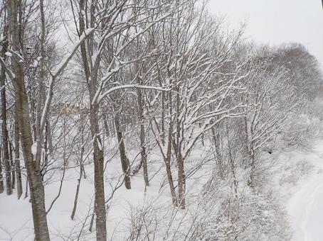 雪山 雪山の写真