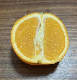 オレンジ オレンジの写真