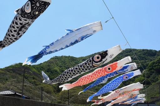 海岸で泳ぐ鯉のぼり 鯉のぼり,こいのぼり,鯉幟の写真素材