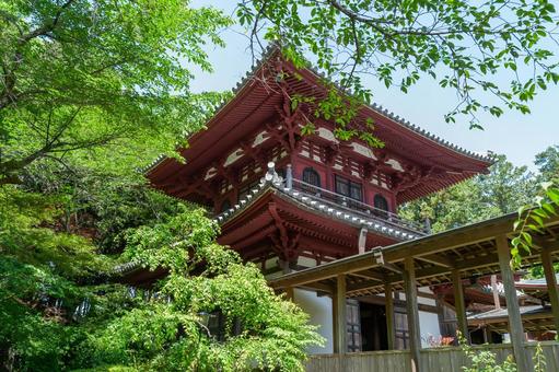 浜松市 井伊谷 龍潭寺 開山堂（静岡） 龍潭寺,浜松市,井伊谷の写真素材