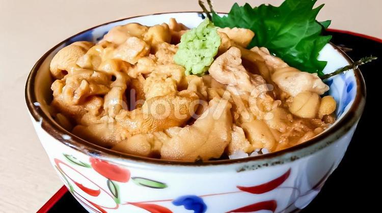 北海道の贅沢な生うに丼ぶり うに,うに丼,丼の写真素材