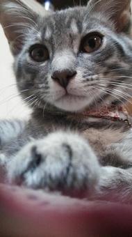 みつめる みつめるの写真