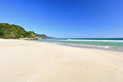 どこまでも拡がる伊豆の爽やかな白浜海岸 白浜海岸,伊豆,高波の写真素材