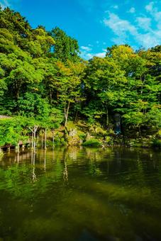 【石川】兼六園 文化財指定庭園 石川,兼六園,金沢の写真素材