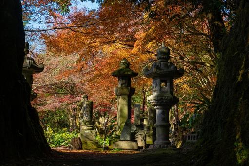 冬の道隆寺跡の風景(肝付町) 冬の道隆寺跡の風景(肝付町)の写真
