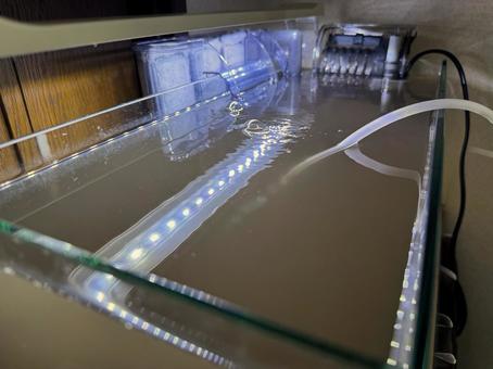 水槽セットアップ(水が濁った状態1) 水槽セットアップ(水が濁った状態1) 水槽,アクアリウム,セットアップの写真素材