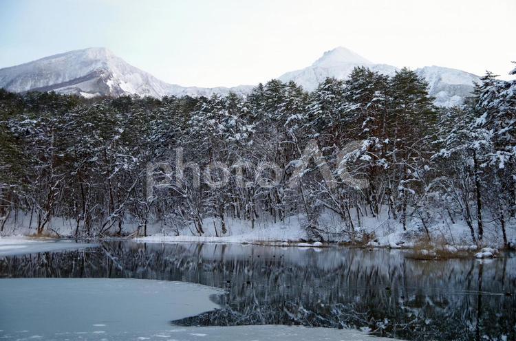 瑠璃沼越しの磐梯山　雪景色の五色沼湖沼群（福島県耶麻郡北塩原村） 磐梯山,五色沼,裏磐梯の写真素材