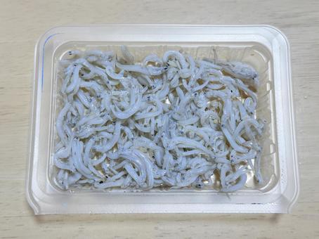 しらす しらす,シラス,釜揚げの写真素材