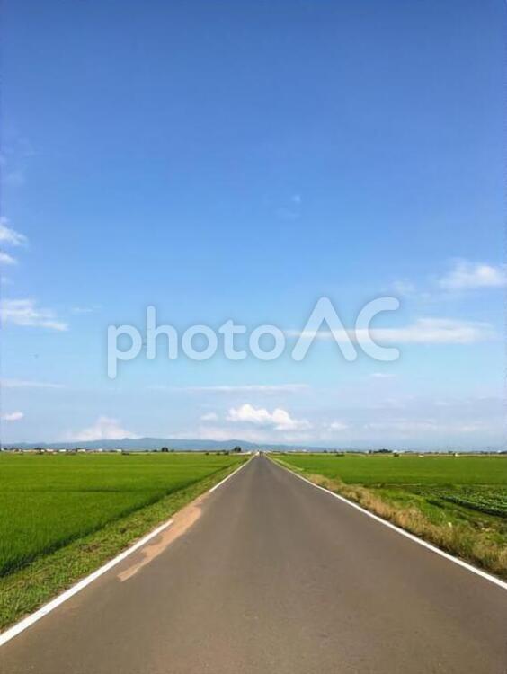 田んぼの中の道路 道路,風景,田舎の写真素材