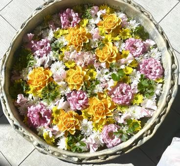 花手水 花アート 手水舎 旬の花々 花手水 花アート 手水舎 旬の花々の写真