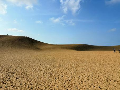 鳥取砂丘の砂丘と青い空 砂,風景,空の写真素材