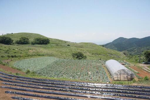 平尾台と畑 平尾台,カルスト台地,畑の写真素材