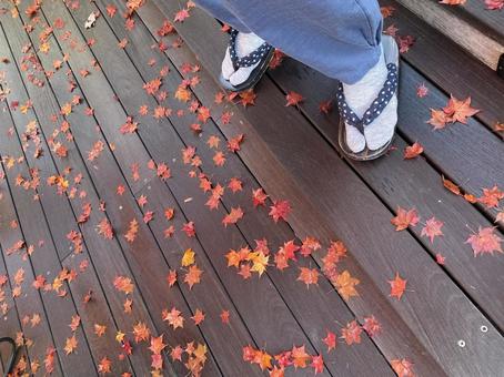 紅葉のじゅうたん 紅葉のじゅうたん 紅葉,もみじ,秋の写真素材