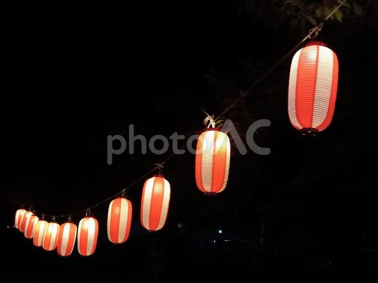 夜空に浮かぶ紅白の高張型提灯 提灯,ちょうちん,夜の写真素材