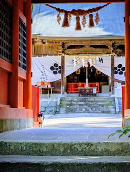 神社ネコ 参道,パワースポット,お参りの写真素材