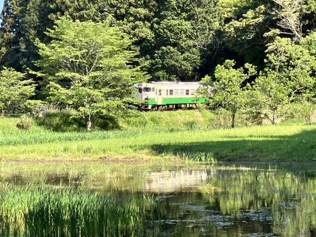 緑に埋もれる小湊鉄道 緑に埋もれる小湊鉄道の写真