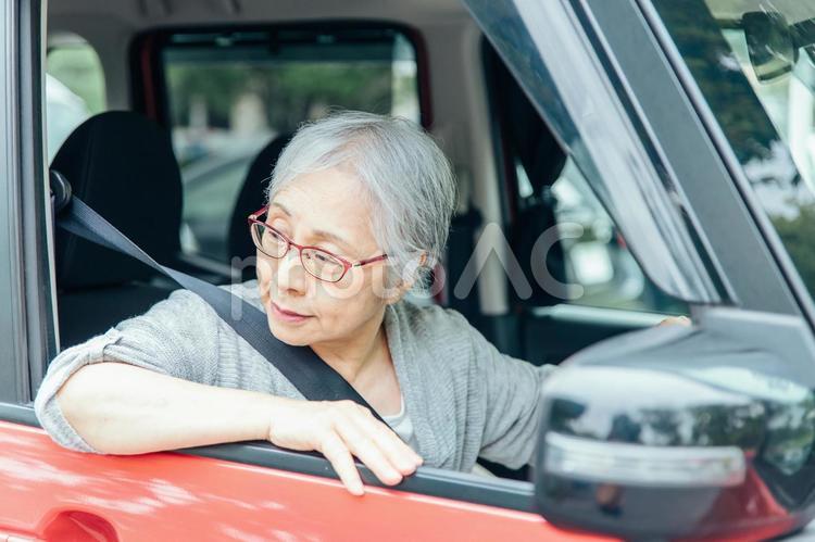 自動車の運転をする高齢者女性（バック） 高齢者,バック,運転の写真素材