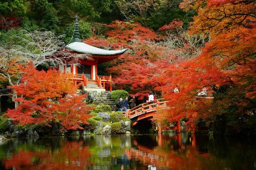 醍醐寺 醍醐寺,紅葉,京都紅葉の写真素材