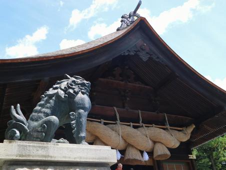 諏訪大社 諏訪大社,神社,諏訪湖の写真素材