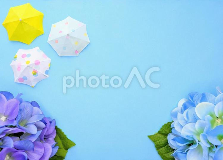 梅雨　イメージ　⑥ 紫陽花,梅雨,傘の写真素材
