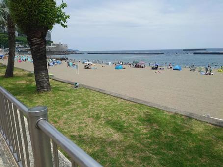 Photo, summer, sea, beach, 
