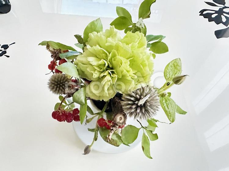 花　フラワー　植物 フラワーアレンジメント,ボウル,ディスプレーの写真素材