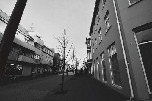 モノクロの冬景色、アイスランドの小道﻿ アイスランド,冬,モノクロの写真素材