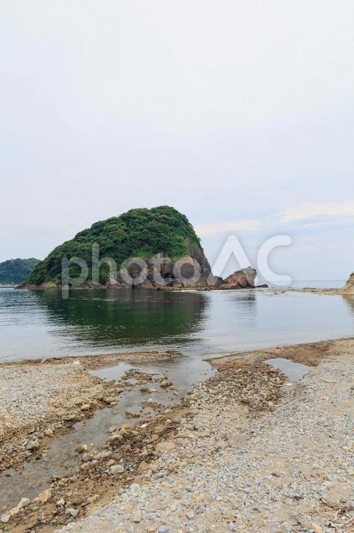昼間のかえる島 かえる島,蛙,島の写真素材