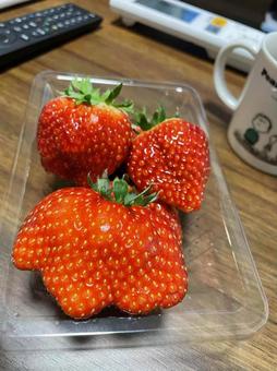 くだもの1 くだもの1の写真