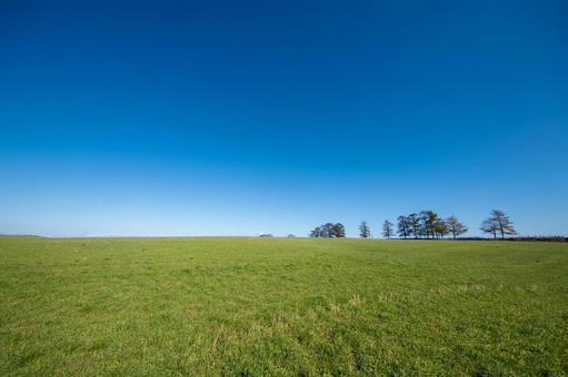 広大な青空と緑の牧草地が交わる稜線の風景 丘,緑,牧草地の写真素材
