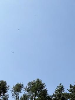 見上げると トンボ飛び交う 秋の空 02 見上げると トンボ飛び交う 秋の空 02の写真