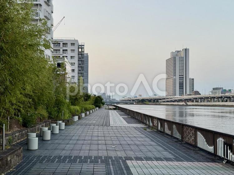 夕方の隅田川　隅田公園の遊歩道から 川,運河,隅田川の写真素材