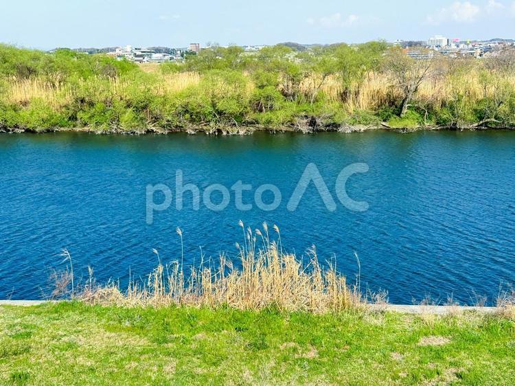 川の青と草の緑 川,水,草の写真素材