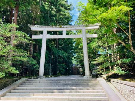 弥彦神社 二之鳥居 弥彦神社 二之鳥居の写真